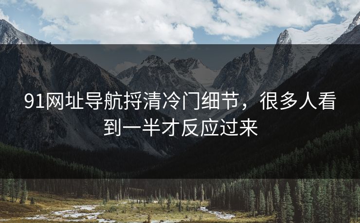 91网址导航捋清冷门细节，很多人看到一半才反应过来