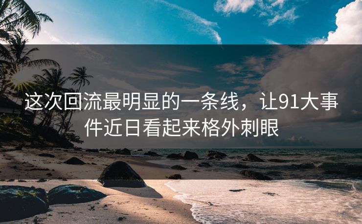 这次回流最明显的一条线，让91大事件近日看起来格外刺眼