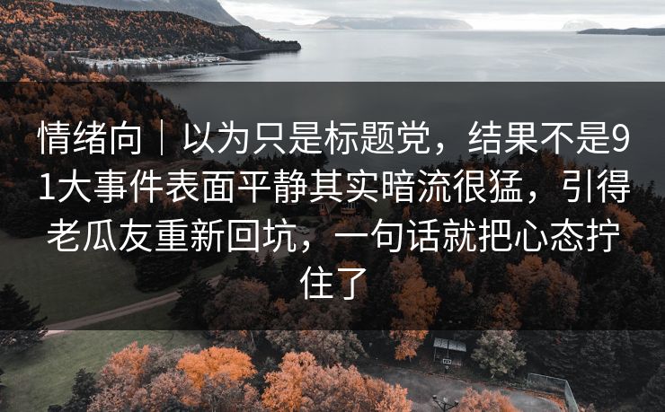 情绪向｜以为只是标题党，结果不是91大事件表面平静其实暗流很猛，引得老瓜友重新回坑，一句话就把心态拧住了