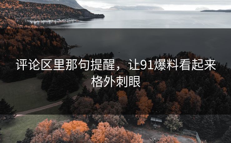 评论区里那句提醒，让91爆料看起来格外刺眼