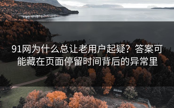91网为什么总让老用户起疑？答案可能藏在页面停留时间背后的异常里