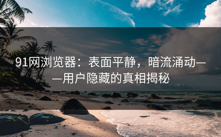 91网浏览器：表面平静，暗流涌动——用户隐藏的真相揭秘
