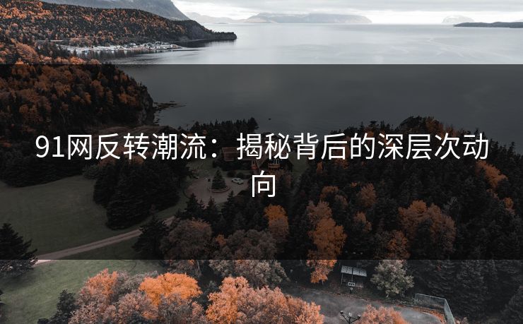 91网反转潮流：揭秘背后的深层次动向
