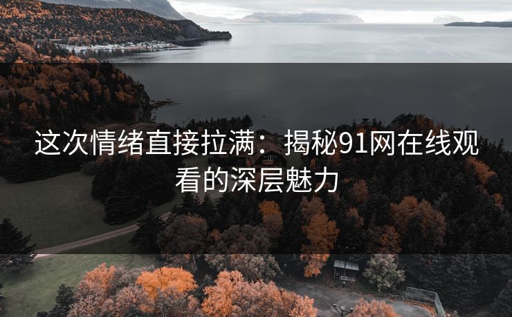 这次情绪直接拉满：揭秘91网在线观看的深层魅力