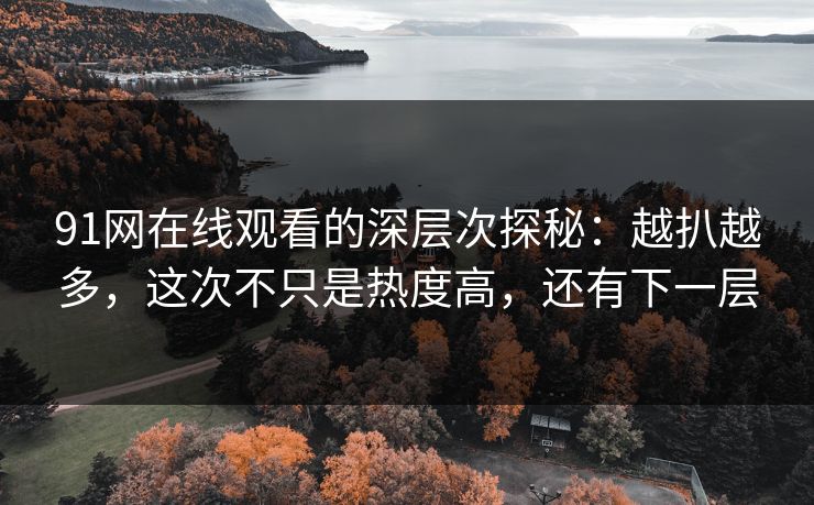 91网在线观看的深层次探秘：越扒越多，这次不只是热度高，还有下一层