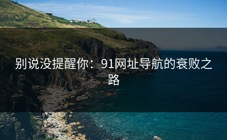 别说没提醒你：91网址导航的衰败之路