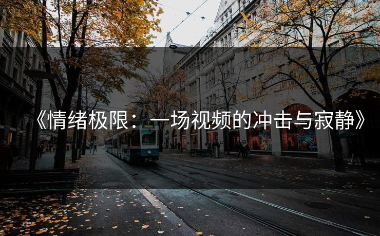 《情绪极限：一场视频的冲击与寂静》