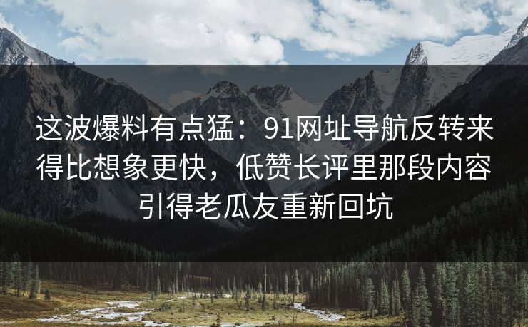 这波爆料有点猛：91网址导航反转来得比想象更快，低赞长评里那段内容引得老瓜友重新回坑