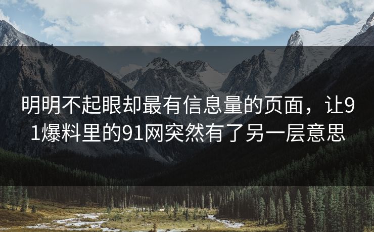 明明不起眼却最有信息量的页面，让91爆料里的91网突然有了另一层意思
