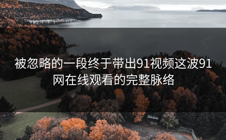 被忽略的一段终于带出91视频这波91网在线观看的完整脉络